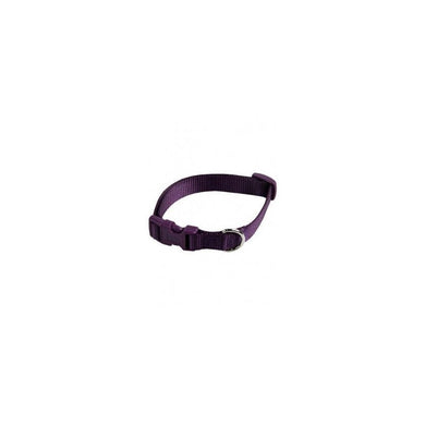 Collar ajustable nylon 10mmx20-30cm, violeta - Pet House Noia