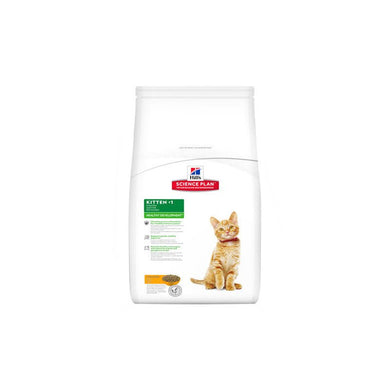 Hills Feline Kitten Pollo 2kg - Pet House Noia