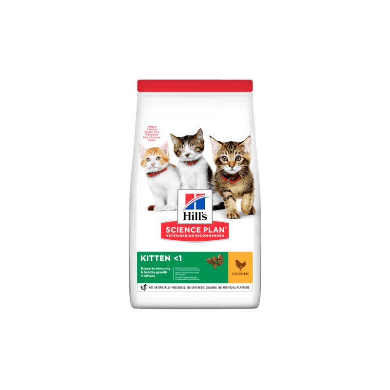 Hills feline kitten pollo 300 g - Pet House Noia