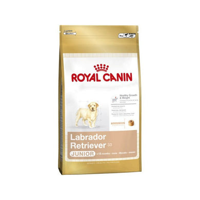 Royal Canin Labrador Retriever Junior 33 12 kg - Pet House Noia