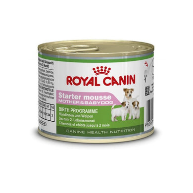 Royal Canin Starter Mousse 12x195gr (Lata) - Pet House Noia