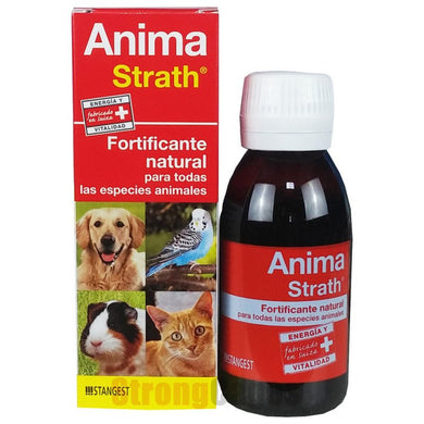 Stangest Anima Strath 100 Ml - Pet House Noia